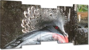 Vászonkép 150x80 Színes madár