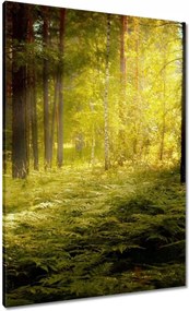Vászonkép 70x100 Napfelkelte az erdőben