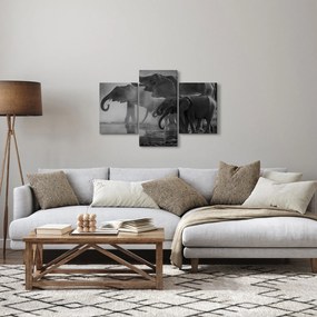 Elefánt képe - fekete fehér (90x60 cm)