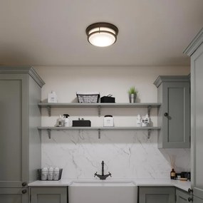 Hinkley HK-HADLEY-F-OZ-Fürdőszobai mennyezeti lámpatest HADLEY 3xE27/40W/230V IP44 bronz