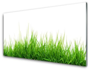 Üvegfotó Grass Nature Plant 100x50 cm 2 fogas