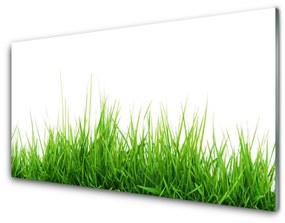 Üvegfotó Grass Nature Plant 125x50 cm