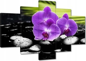 Vászonkép 120x80 Lila orchideák