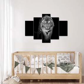 Kép - Tigris kék szemekkel (150x105 cm)