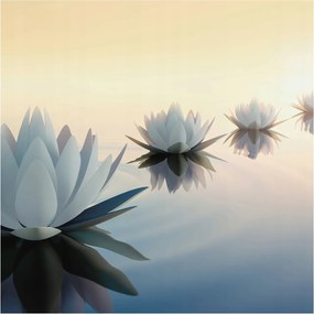 Fotótapéta Flizelin Hálószoba és Nappali tapéta Csendes kilátás 250x250