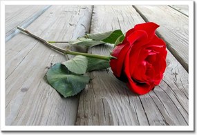 Poszterek keretben 60x40 Rózsa a deszkákon