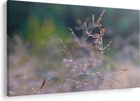 Kép - Fű részlet (90x60 cm)
