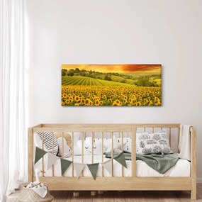 Kép - Napraforgó mező (120x50 cm)