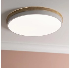 Brilliant - LED Dimmelhető mennyezeti lámpa BAARLO LED/36W/230V átm. 50 cm fehér + távirányító