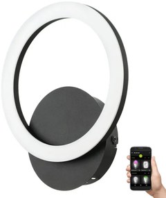 Eglo 900324 - LED Dimmelhető fali lámpa PARRAPOS-Z LED/12W/230V