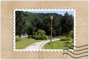 Poszterek 90x60 Zöld park fákkal