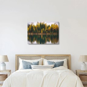 Erdei tó képe (70x50 cm)