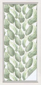 Tejfólia Ablaküveghez Öntapadós Adatvédelem Zöld levelek 50x116