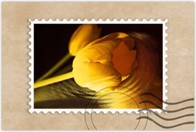 Poszter 60x40 Sárga-arany tulipán