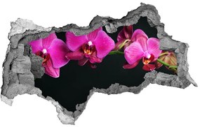 3d-s lyukat fali matrica Orchidea nd-b-64284743