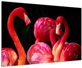 Vörös flamingók képe (90x60 cm)