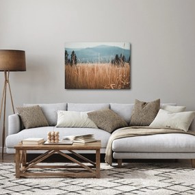 Kép - réti növényzet részlete (70x50 cm)