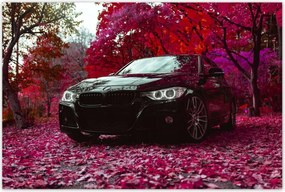 Poszterek 120x80 Fekete Bmw Ősz