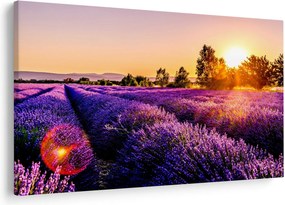 A levendula mező képe, Provence (90x60 cm)