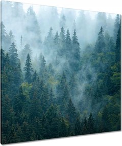 Vászonkép 80x80 Erdő a ködben Utazás