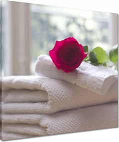 Vászonkép 50x50 Rózsa a szeretetttől