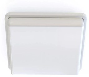 Nowodvorski TAHOE fürdőszobai mennyezeti lámpa, fehér, E27 foglalattal, 2x15W, TL-10040