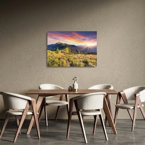 Üveg kép - Erdei táj (70x50 cm)