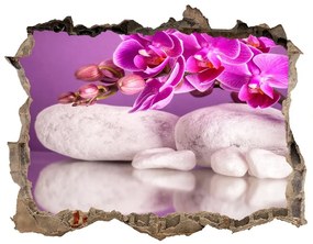 3d-s lyuk vizuális effektusok matrica Rózsaszín orchidea nd-k-82457632