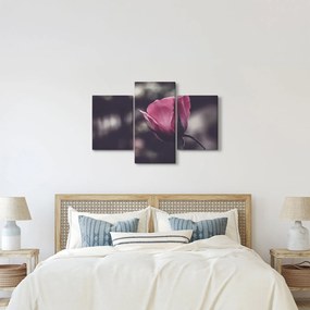 Kép - Rózsa virág részlete (90x60 cm)