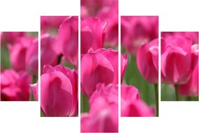 Kép - Rózsaszín tulipánok (150x105 cm)