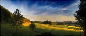 Kép - Hegyi rét (120x50 cm)