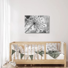 Üveg kép - Virág télen (70x50 cm)