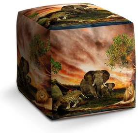 Cube zsámoly szaharai állatok, színes