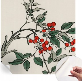 Design fali fotótapéta öntapadós bogyós ág 250x250 cm