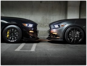 Poszterek 40x30 Face to face Mustang