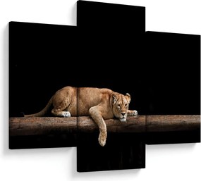 Kép - Lioness (90x60 cm)