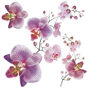 Orchids öntapadós dekoráció, 30 x 30 cm