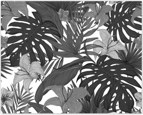 Poszterek 50x40 Kék Monstera Blue