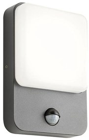 Redo 90134 - LED kültéri fali lámpatest COLIN LED/9W/230V 4000K IP54 antracit