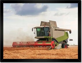 Poszterek keretben 40x30 Kombájn a gabonamezőn