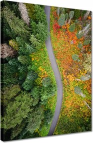 Vászonkép 30x40 Út Erdő Ősz