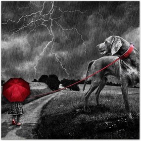 Poszterek 100x100 Túlnőttem ezen a sétán