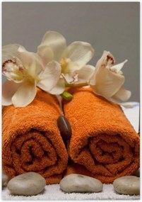 Poszterek 70x100 Orchidea Háztartási kövek