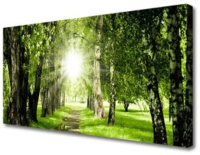 Vászonkép Sun Forest Path Nature 100x50 cm