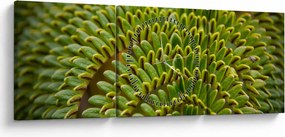 Kép - Fern (órával) (90x30 cm)