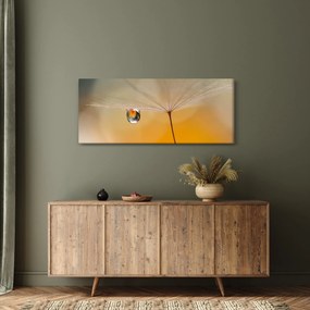 Kép - Makró virág (120x50 cm)