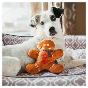 Játék kutyáknak Gingerbread Man - P.L.A.Y.