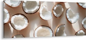 Kép - Kókuszdiók (120x50 cm)