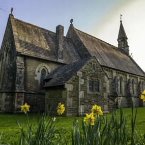 Poszter 40x40cm Húsvéti nárciszok 2, Assaf Frank