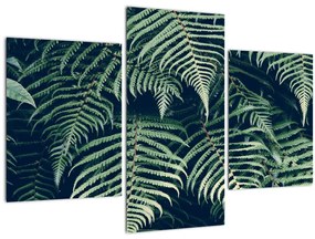 A páfrány levelek képe (90x60 cm)